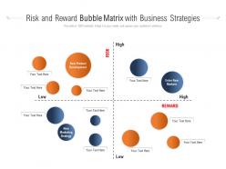 Risk and reward bubble matrix with business strategies