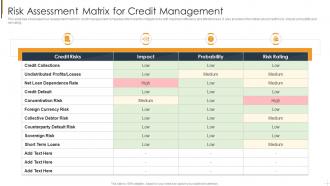 Risk Assessment Matrix For Credit Management