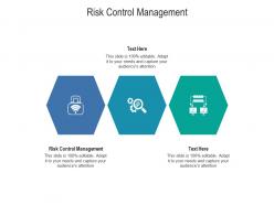 Risk control management ppt powerpoint presentation professional templates cpb