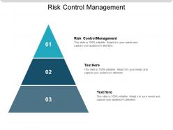 Risk control management ppt powerpoint presentation styles show cpb
