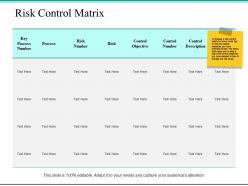 Risk control matrix ppt powerpoint presentation file professional