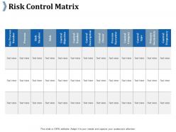 Risk control matrix ppt slides infographic template