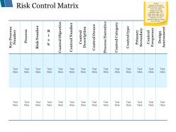 Risk control matrix ppt styles templates