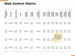Risk control matrix process h161 ppt powerpoint presentation professional vector