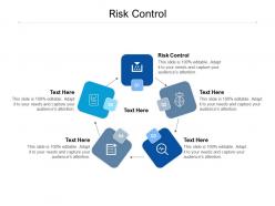 Risk control ppt powerpoint presentation ideas pictures cpb