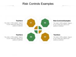 Risk controls examples ppt powerpoint presentation infographic template slideshow cpb