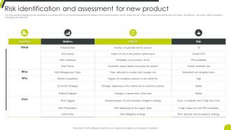 Risk Identification And Assessment For New Product