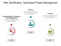 Risk identification techniques project management ppt format cpb