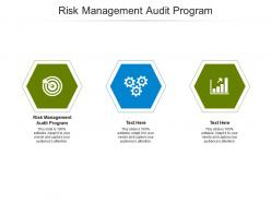 Risk management audit program ppt powerpoint presentation model graphics template cpb