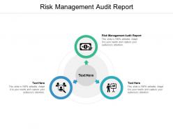 Risk management audit report ppt powerpoint presentation file graphic tips cpb