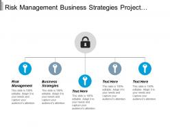 risk_management_business_strategies_project_management_budgeting_growth_strategies_cpb_Slide01
