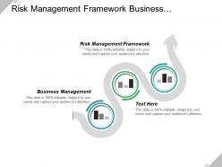Risk management framework business management information systems management cpb