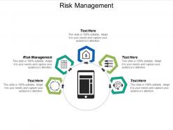 Risk management ppt powerpoint presentation infographics design ideas cpb