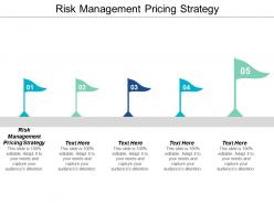 Risk management pricing strategy ppt powerpoint presentation portfolio maker cpb