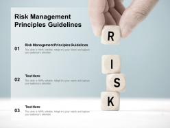 Risk management principles guidelines ppt powerpoint presentation model designs cpb