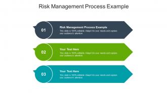 Risk management process example ppt powerpoint presentation inspiration cpb