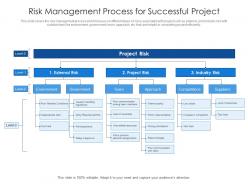 Risk management process for successful project