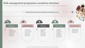 Risk Management Programme Escalation Structure