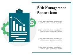 Risk Management Report Icon