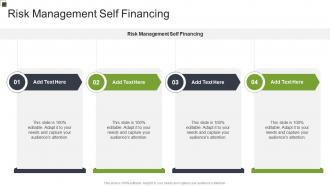 Risk Management Self Financing In Powerpoint And Google Slides Cpb