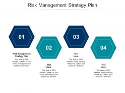 Risk management strategy plan ppt powerpoint presentation slides example topics cpb