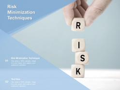 Risk minimization techniques ppt powerpoint presentation layouts objects cpb