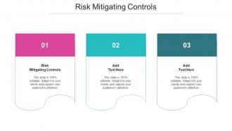 Risk Mitigating Controls Ppt Powerpoint Presentation Infographics Show Cpb