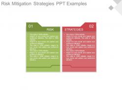 Risk Mitigation Strategies Ppt Examples