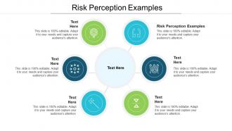 Risk perception examples ppt powerpoint presentation show outfit cpb