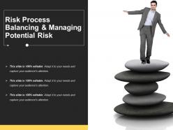 Risk process balancing and managing potential risk