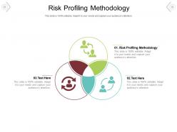 Risk profiling methodology ppt powerpoint presentation show format ideas cpb