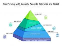 Risk pyramid with capacity appetite tolerance and target