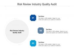 Risk review industry quality audit ppt powerpoint presentation icon graphics cpb