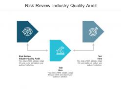Risk review industry quality audit ppt powerpoint presentation styles examples cpb
