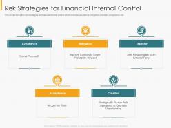 Risk strategies for financial internal control financial internal controls and audit solutions