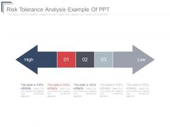 Risk tolerance analysis example of ppt