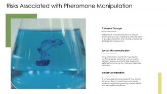 Risks Associated With Pheromone Manipulation PPT Template ST AI SS