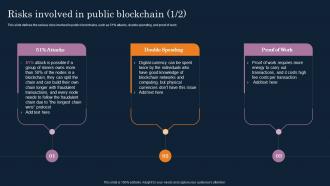 Risks Involved In Public Blockchain Cryptographic Ledger IT