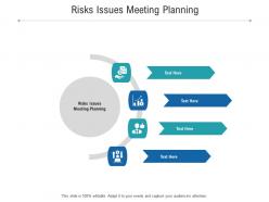 Risks issues meeting planning ppt powerpoint presentation icon infographics cpb