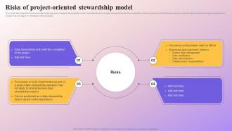Risks Of Project Oriented Stewardship Model Data Subject Area Stewardship Model