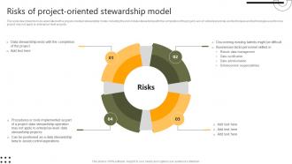 Risks Of Project Oriented Stewardship Model Stewardship By Systems Model