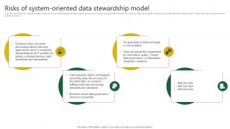 Risks Of System Oriented Data Stewardship Model Stewardship By Project Model