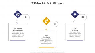 RNA Nucleic Acid Structure In Powerpoint And Google Slides Cpb