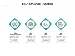 Rna structure function ppt powerpoint presentation portfolio rules cpb