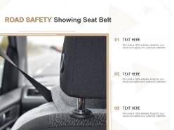 Road safety showing seat belt