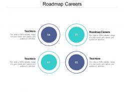 Roadmap careers ppt powerpoint presentation inspiration elements cpb