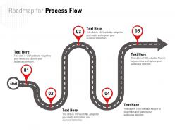 Roadmap for process flow c1232 ppt powerpoint presentation inspiration portrait