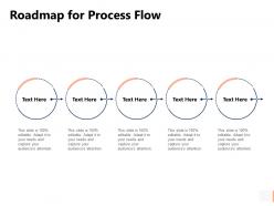 Roadmap For Process Flow Circular Ppt Powerpoint Presentation Pictures
