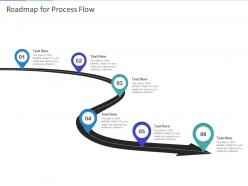 Roadmap for process flow m79 ppt powerpoint presentation gallery icons