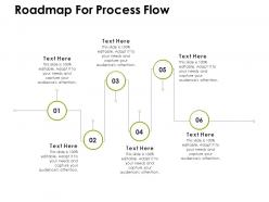 Roadmap for process flow ppt powerpoint presentation icon mockup